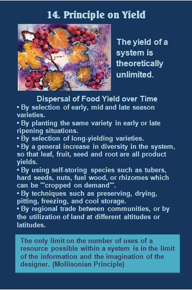 14. Principle on Yield